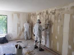 Environmental Consulting for Mold Prevention in Lexington, TN